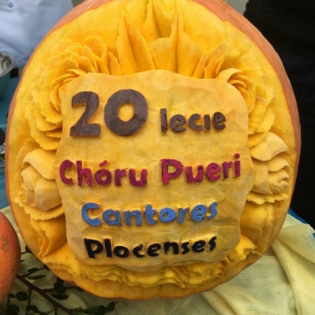 Piknik z okazji 20-lecia Pueri Cantores Plocenses 15.09.2018